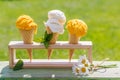 Refreshing ice cream in waffle cones with lemon flavour Royalty Free Stock Photo