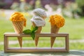 Refreshing ice cream in waffle cones with lemon flavour Royalty Free Stock Photo