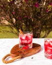 Refreshing iced hibiscus tea with cloves, cinnamon and iced lemon served in the garden. Royalty Free Stock Photo