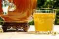 Refreshing kombucha tea with a medical camomile in old vintage bottle and a glass on backdrop of blurred flowers. Healthy natural