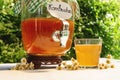 Refreshing kombucha tea with a medical camomile in old vintage bottle and glass, with label written kombucha on it on backdrop of