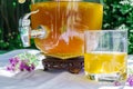 Refreshing kombucha tea with thyme in a glass old vintage bottle and a glass on backdrop of blurred flowers. Healthy