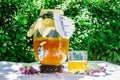 Refreshing kombucha tea with thyme in a glass old vintage bottle and a glass, with label written kombucha on it on backdrop of