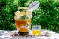 Refreshing kombucha tea with thyme in a glass old vintage bottle and a glass, with label written kombucha on it on