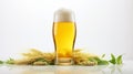 Refreshing Lager Beer With White Backdrop For Summer Picnic