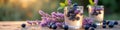 Refreshing lavender blueberry drink with fresh mint in glasses on rustic table at sunset Royalty Free Stock Photo