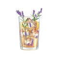 Refreshing Lavender Lemonade With Ice Cubes And Fresh Sprigs. Aromatic Summer Beverage Concept. Isolated On Transparent Royalty Free Stock Photo