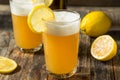 Refreshing Lemon Beer Shandy