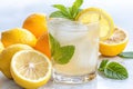 refreshing lemon and mint drink Royalty Free Stock Photo