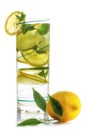 Refreshing lemon water. A glass with fresh slices of lemon and lime with mint leaves in cold water with ice and air bubbles. Clean Royalty Free Stock Photo