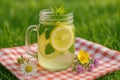Refreshing lemonade in mason jar with fresh mint on checkered cloth in garden. summer lemonade Royalty Free Stock Photo
