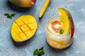 Refreshing mango ice cream with mint leaves and fresh mango served in a glass jar. Food recipe background. Close up Royalty Free Stock Photo