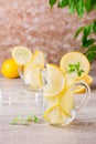 Refreshing mineral water with lemon, mint and ice cubes in glass Royalty Free Stock Photo