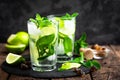 Refreshing mint cocktail mojito with rum and lime, cold drink or beverage with ice Royalty Free Stock Photo