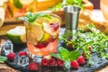 Refreshing mint cocktail mojito with rum, lime and raspberry Royalty Free Stock Photo