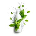 Refreshing Mint Infused Cosmetic Bottle with Dynamic Water Splash and Natural Green Leaves Isolated on White Background Royalty Free Stock Photo