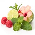 Fresh raspberry lime mint hibiscus isolated on white background Royalty Free Stock Photo