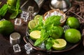 Refreshing Mojito cocktail making close-up. Mint, lime, ice ingredients and bar utensils Royalty Free Stock Photo