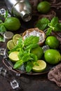 Refreshing Mojito cocktail making. Mint, lime, ice ingredients and bar utensils Royalty Free Stock Photo