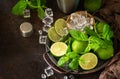 Refreshing Mojito cocktail making. Mint, lime, ice ingredients and bar utensils Royalty Free Stock Photo