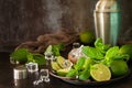 Refreshing Mojito cocktail making. Mint, lime, ice ingredients and bar utensils Royalty Free Stock Photo