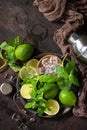 Refreshing Mojito cocktail making. Mint, lime, ice ingredients and bar utensils Royalty Free Stock Photo