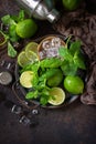 Refreshing Mojito cocktail making. Mint, lime, ice ingredients and bar utensils Royalty Free Stock Photo