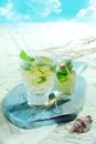Refreshing mojito cocktail Royalty Free Stock Photo