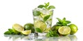 Refreshing Mojito Royalty Free Stock Photo