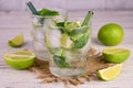 Refreshing mojito withs lime and mint on a white background. Royalty Free Stock Photo