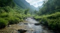 A refreshing mountain stream valley Royalty Free Stock Photo