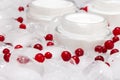 Refreshing natural skin care creams with ice cubes and red berries Royalty Free Stock Photo