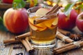 refreshing organic apple cider infused with fragrant cinnamon sticks