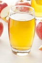 Refreshing Organic Apple Juice Royalty Free Stock Photo