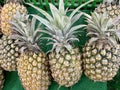 Refreshing Organic Pineapple Juice with Exotic Flavor arranged in the supermarket window Royalty Free Stock Photo