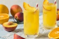 Refreshing Peach and Orange Fuzzy Navel Cocktail