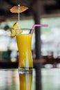 Refreshing pineapple cocktail glass with slices of pineapple, pink juice straws and decoration Royalty Free Stock Photo