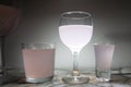 Refreshing Pink Ros Wine in a Glass Royalty Free Stock Photo