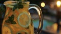 A refreshing pitcher of homemade lemonade with slices of lemon and sprigs of mint to cool off under the warm summer Royalty Free Stock Photo