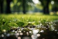 Refreshing rain blurred green grass, a soothing and serene backdrop