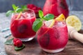 Refreshing raspberry, lemon and mint lemonade with sparkling water in glass, horizontal Royalty Free Stock Photo