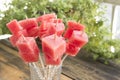 Refreshing Skewers of Watermelon - Fruit Snack Royalty Free Stock Photo