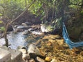 Refreshing small river stream in Dabong, Kelantan, Malaysia. Royalty Free Stock Photo