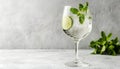 Refreshing soda water in glass on light gray background Royalty Free Stock Photo