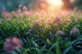 Refreshing start Dewy sunrise paints a picturesque scene over meadow