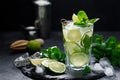 Refreshing summer alcoholic cocktail mojito with ice, fresh mint and lime Royalty Free Stock Photo