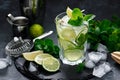 Refreshing summer alcoholic cocktail mojito with ice, fresh mint and lime Royalty Free Stock Photo