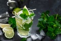 Refreshing summer alcoholic cocktail mojito with ice, fresh mint and lime Royalty Free Stock Photo