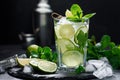 Refreshing summer alcoholic cocktail mojito with ice, fresh mint and lime Royalty Free Stock Photo