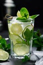 Refreshing summer alcoholic cocktail mojito with ice, fresh mint and lime Royalty Free Stock Photo